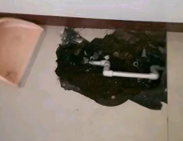 平果卫生间测漏水多少钱